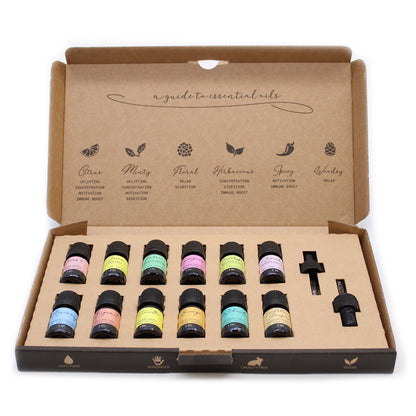 Aromatherapy Essential Oil Set - The Top 12 - Zelyth