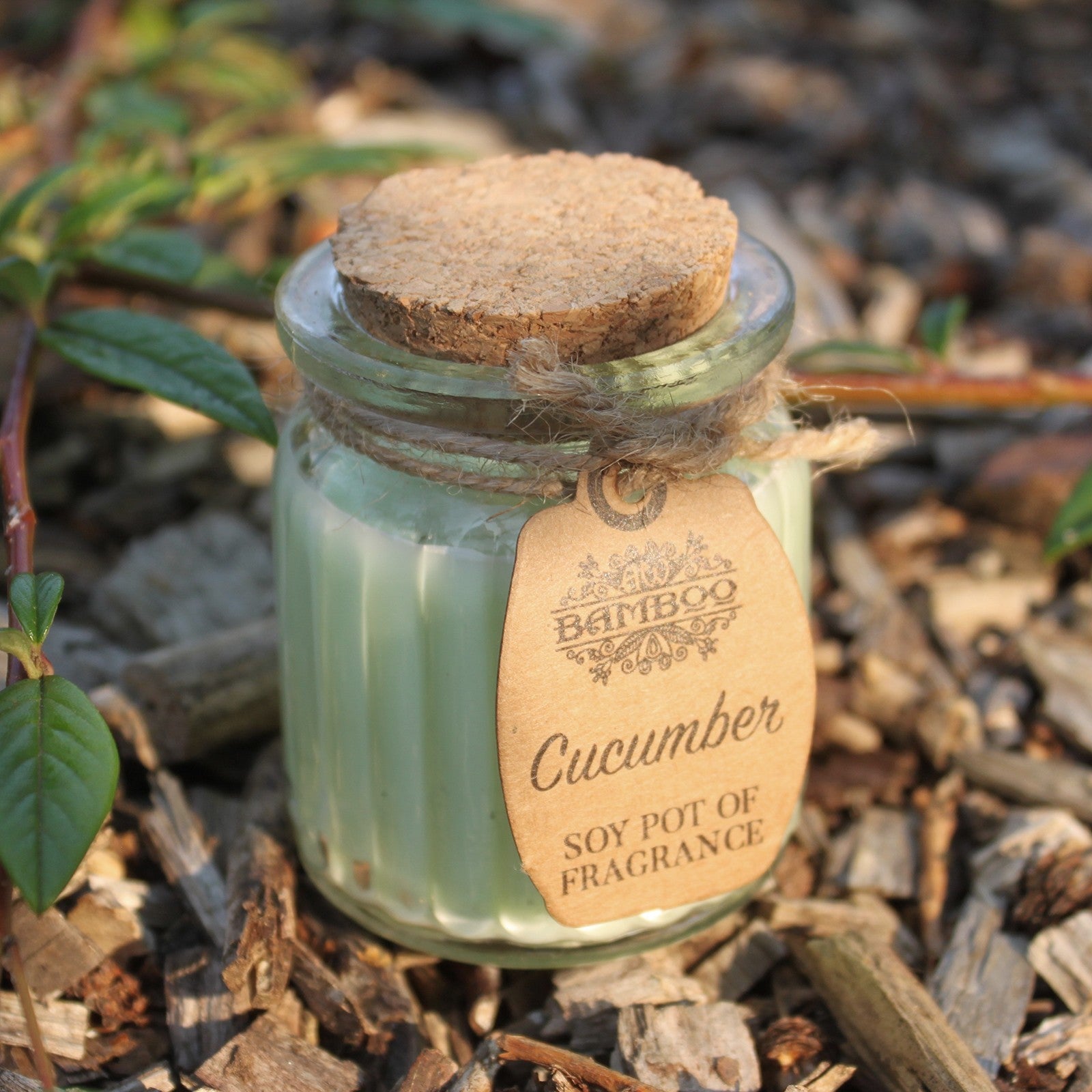 Cucumber Soy Wax Candle - Zelyth - Elegant Scents, Deep Peace