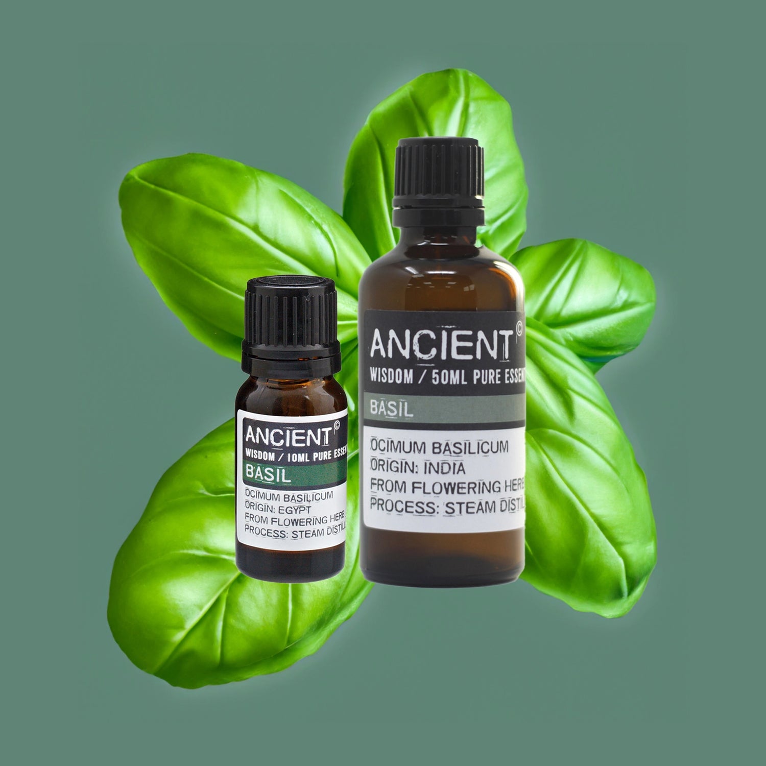 Zelyth basil essential oil stress relief mood enhancer energizing uplifting natural wellness aromatherapy mental clarity calming soothing