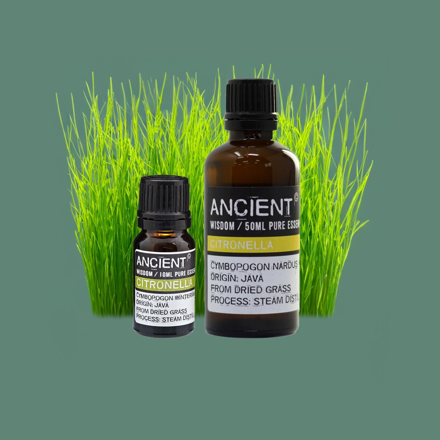 Discover the benefits of Zelyth Citronella Essential Oil – repels insects, refreshes spaces, and energizes outdoor rituals naturally