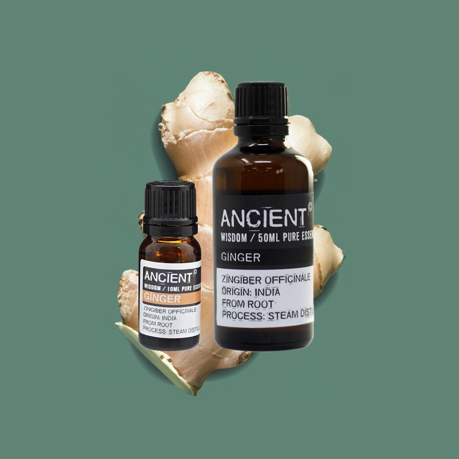 Experience the benefits of Zelyth Ginger Essential Oil – boosts energy, supports digestion, and enhances focus naturally