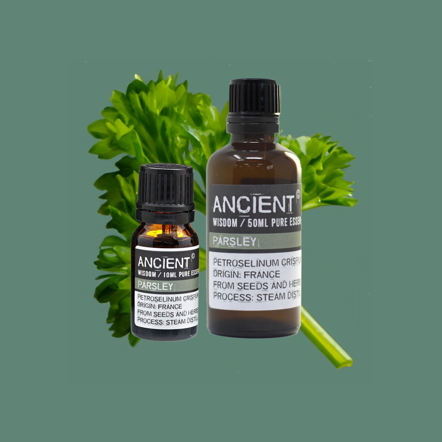 Discover the benefits of Zelyth Parsley Essential Oil – revitalizes the senses, promotes skin clarity, and enhances rejuvenating rituals