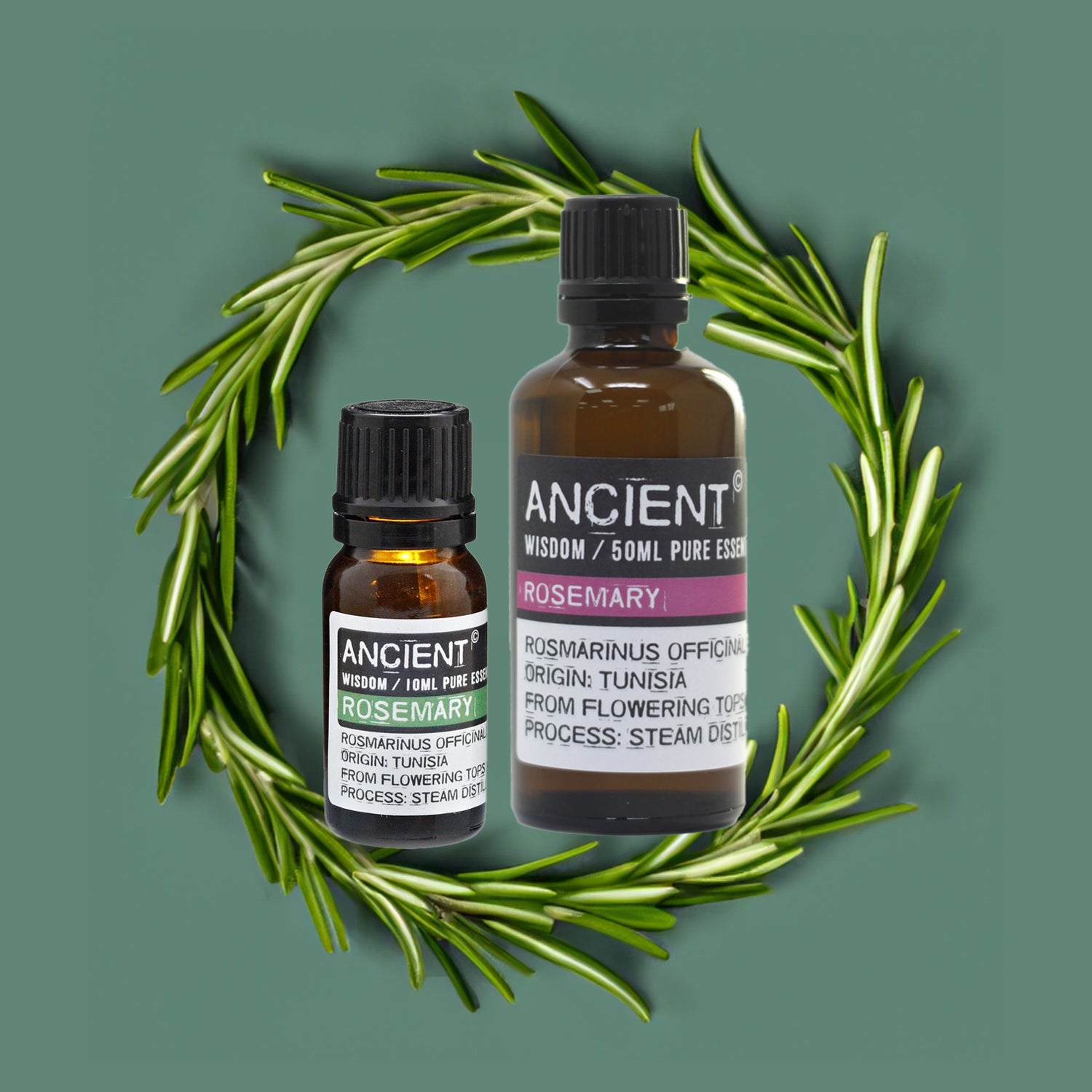 Experience the benefits of Zelyth Rosemary Essential Oil – boosts focus, energizes the mind, and complements your daily rituals naturally 