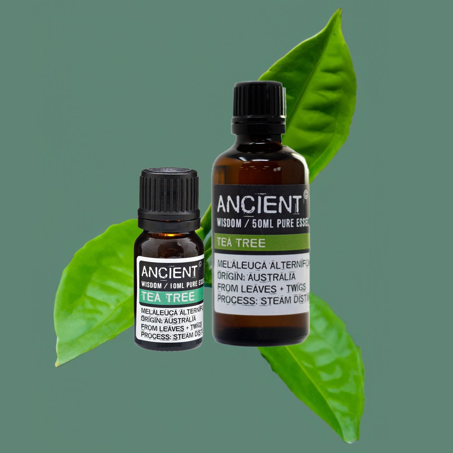 Unlock the benefits of Zelyth Tea Tree Essential Oil – supports clear skin, purifies spaces, and enriches cleansing rituals naturally