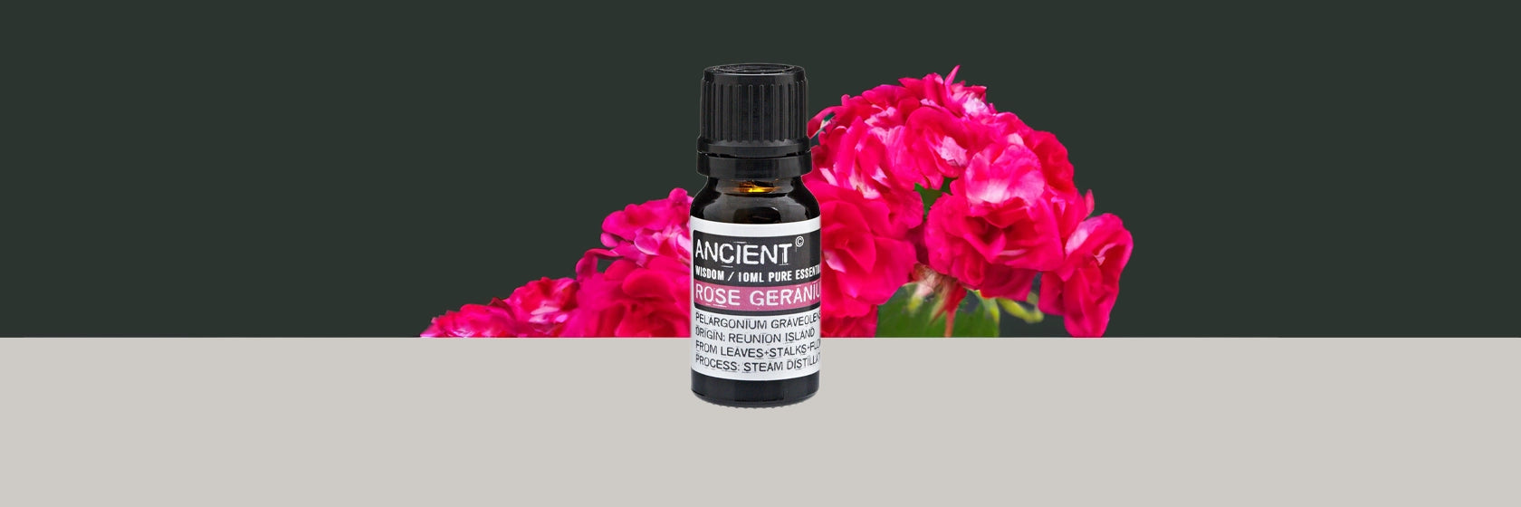 Zelyth rose geranium essential oil aromatherapy soothing calming natural wellness stress relief uplifting floral fragrance balancing