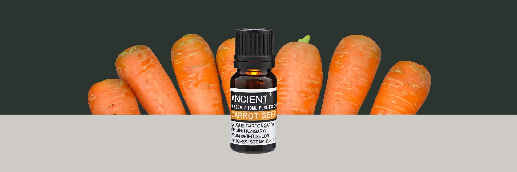 Zelyth Carrot Seed Essential Oil – a warm, earthy aroma to rejuvenate rituals and promote sustainable well-being