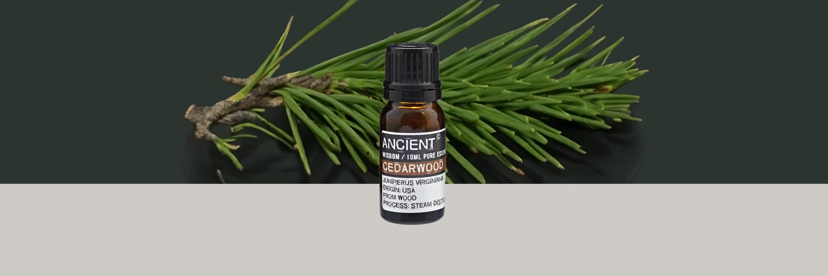 Zelyth cedarwood essential oil aromatherapy relaxation grounding natural soothing wellness stress relief calming rejuvenating earthy fragrance