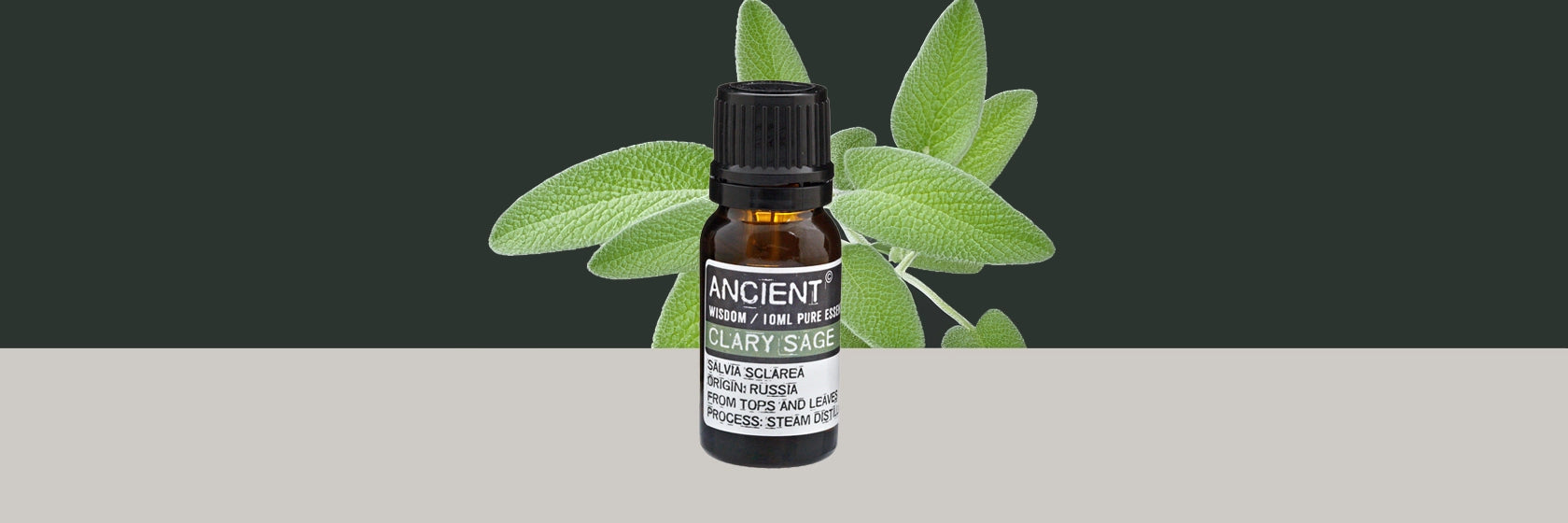 Zelyth Clary Sage Essential Oil – a soothing, herbaceous aroma to calm rituals and promote sustainable well-being