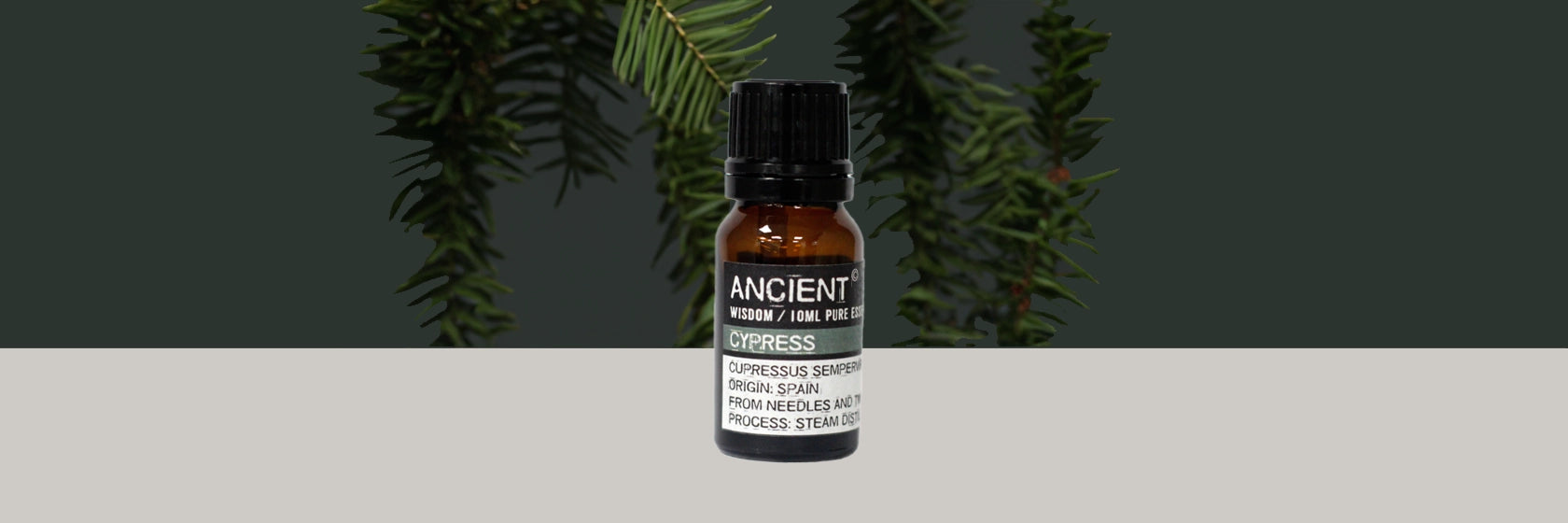 Zelyth Cypress Essential Oil – a fresh, woody aroma to ground rituals and support sustainable well-being