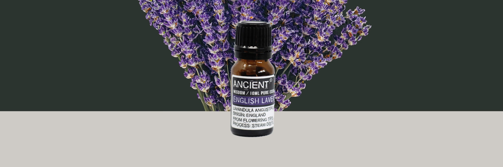 Zelyth English lavender essential oil aromatherapy calming soothing natural wellness stress relief rejuvenating floral fragrance relaxation