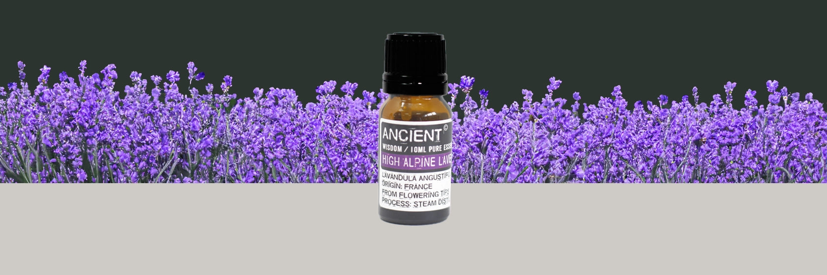 Zelyth high alpine lavender essential oil aromatherapy calming soothing natural wellness stress relief rejuvenating floral fragrance relaxation