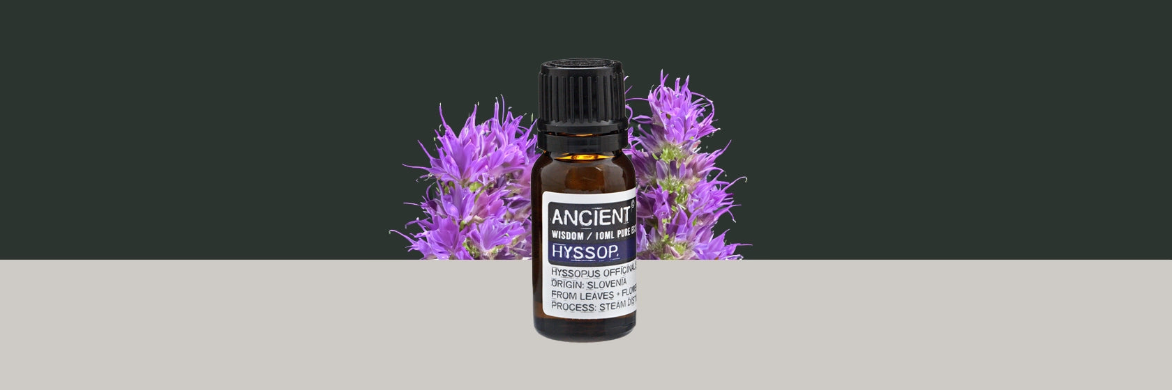 Zelyth Hyssop Essential Oil – a herbal, earthy aroma to rejuvenate rituals and support sustainable well-being