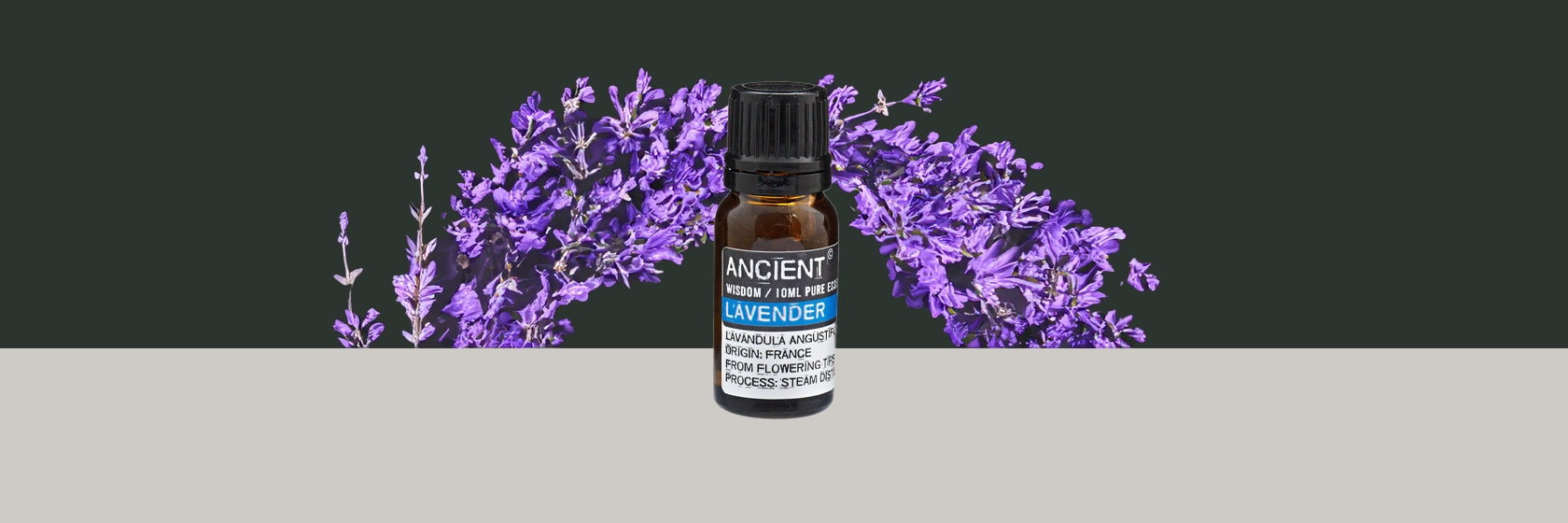 Zelyth essential oil lavender aromatherapy relaxation calming soothing wellness natural fragrance stress relief sleep aid rejuvenating mindfulness