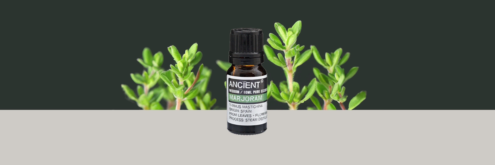 Zelyth marjoram essential oil aromatherapy soothing calming natural wellness stress relief relaxation herbal fragrance muscle relief rejuvenating