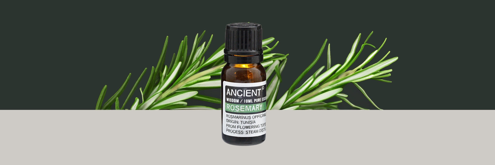 Zelyth Rosemary Essential Oil – a versatile, herbaceous aroma to enhance focus, energize rituals, and support sustainable well-being