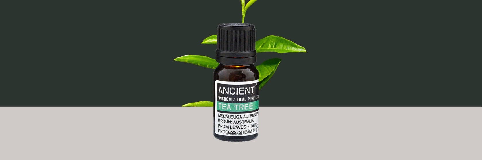 Zelyth Tea Tree Essential Oil – a refreshing, natural solution for cleansing rituals and eco-friendly wellness practices