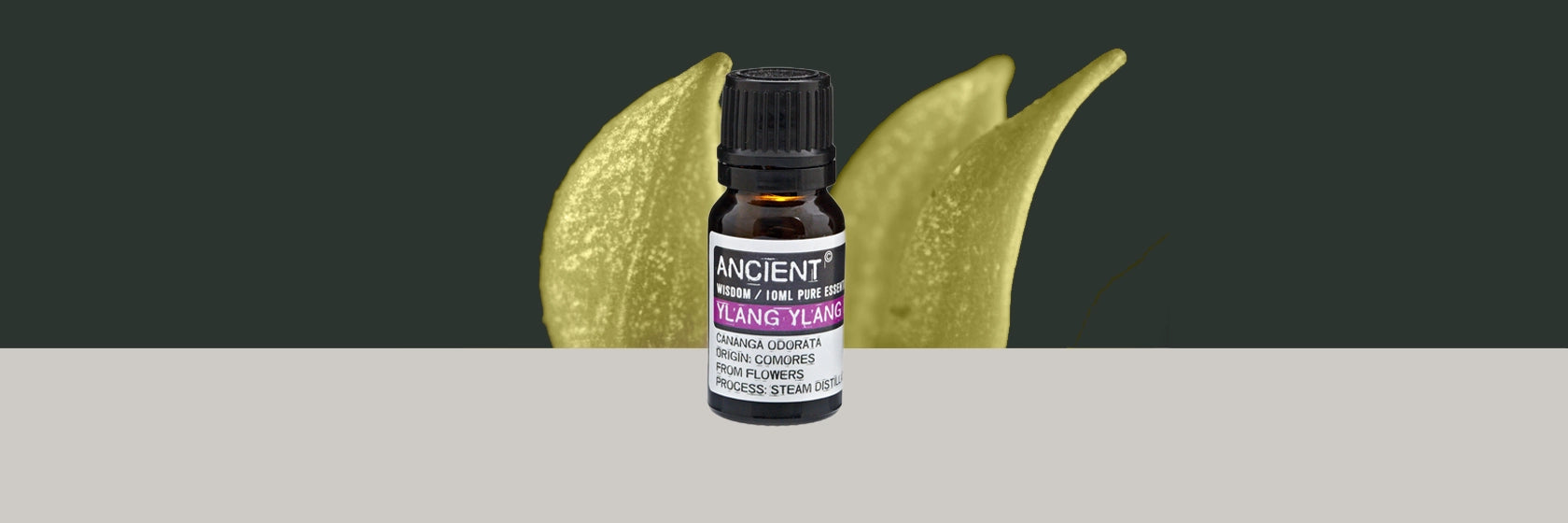 Zelyth ylang ylang II essential oil aromatherapy calming soothing natural wellness stress relief uplifting floral fragrance relaxation