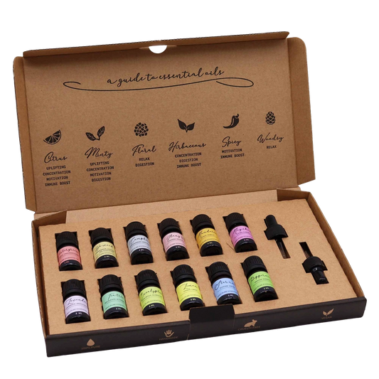 Zelyth Essential Oil Starter Pack: A perfect introduction to the world of aromatherapy, featuring a selection of versatile essential oils to elevate your well-being and transform your space