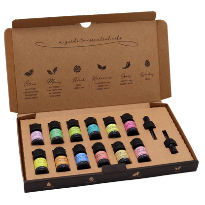 Zelyth Essential Oil Pack Starters Top 12: A carefully selected collection of our most popular essential oils, designed to enhance your space with a variety of soothing, refreshing, and energizing aromas