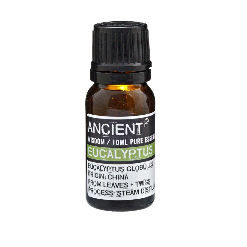 
Eucalyptus Essential Oil Aromatherapy Respiratory Health Natural Healing Relaxation Refreshing Scents Clear Breathing Wellness Essential Oils Soothing Relief