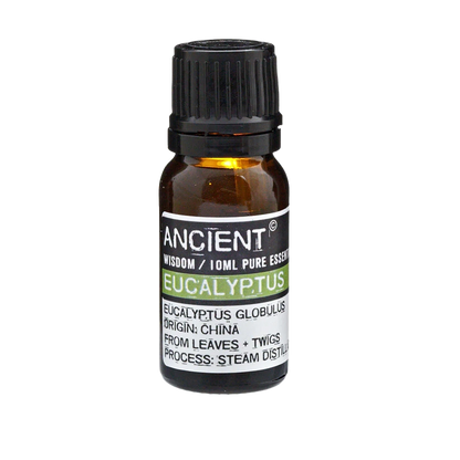 
Eucalyptus Essential Oil Aromatherapy Respiratory Health Natural Healing Relaxation Refreshing Scents Clear Breathing Wellness Essential Oils Soothing Relief