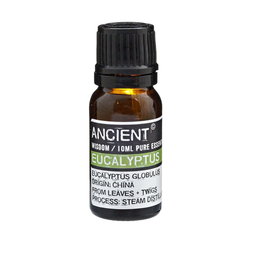 
Eucalyptus Essential Oil Aromatherapy Respiratory Health Natural Healing Relaxation Refreshing Scents Clear Breathing Wellness Essential Oils Soothing Relief