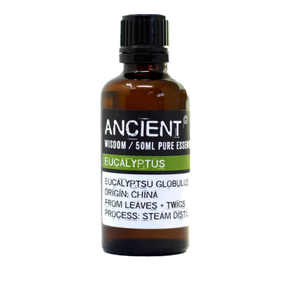 Eucalyptus Essential Oil Invigorating Scents Natural Remedy Aromatherapy Benefits Respiratory Support Stress Relief Wellness Oils Pure Essentials Refreshing Aroma