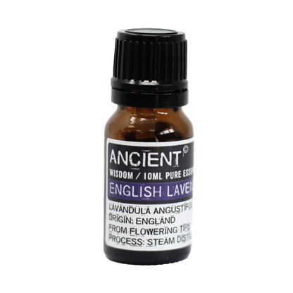 Zelyth English lavender essential oil 10ml aromatherapy calming soothing natural wellness stress relief rejuvenating floral scent